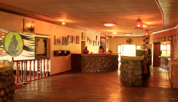 Mountain Gorilla view Lodge Reception