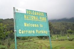 Volcano park Rwanda